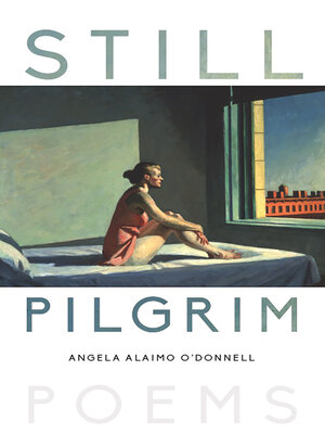 cover image of Still Pilgrim